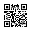 QR CODE 1038