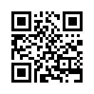 QR CODE 217