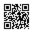 QR CODE 228