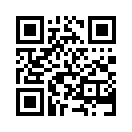 QR CODE 265