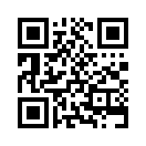 QR CODE 397