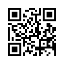 QR CODE 455