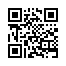 QR CODE 463