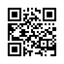 QR CODE 466