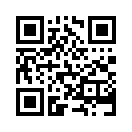 QR CODE 494
