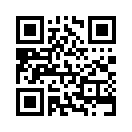 QR CODE 498