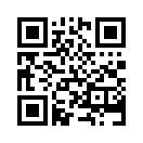 QR CODE 511