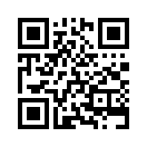 QR CODE 516