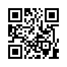 QR CODE 528
