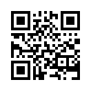 QR CODE 530