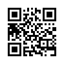 QR CODE 545