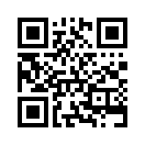QR CODE 585