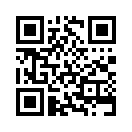 QR CODE 691