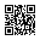 QR CODE 734