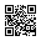 QR CODE 739