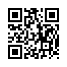 QR CODE 766