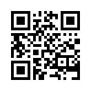 QR CODE 767