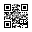 QR CODE 771