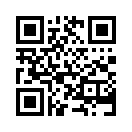 QR CODE 781