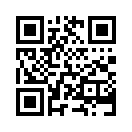 QR CODE 782
