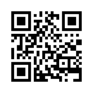QR CODE 790