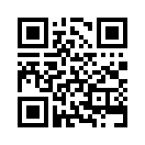QR CODE 809
