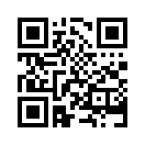 QR CODE 813