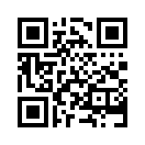 QR CODE 861
