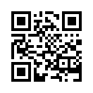 QR CODE 863