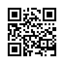 QR CODE 868