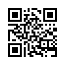 QR CODE 876