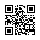 QR CODE 877
