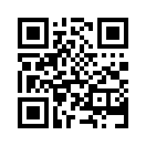 QR CODE 913