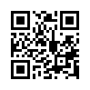QR CODE 917