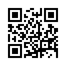 QR CODE 918