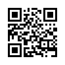 QR CODE 919