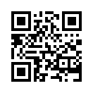 QR CODE 950