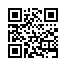 QR CODE 980