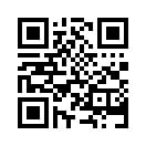 QR CODE 993