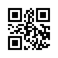 QR CODE 31