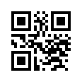 QR CODE 31
