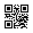 QR CODE 61