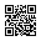 QR CODE 31