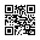 QR CODE 6695