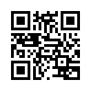 QR CODE 8295
