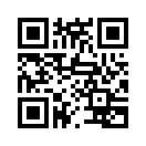 QR CODE 8342