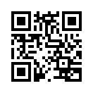QR CODE 8591