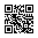 QR CODE 110