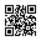 QR CODE 133