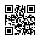 QR CODE 161